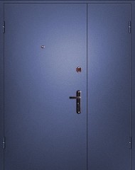 Т25 Тамбурная дверь