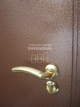 Входная дверь: модель П21