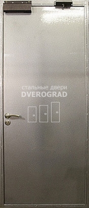 Входная дверь: модель Дверь техническая, порошковый окрас-21