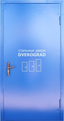 Входная дверь: модель П19