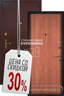 Входная дверь: модель ДС-2