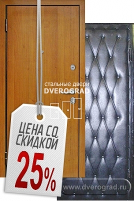 Входная дверь: модель ДС-4