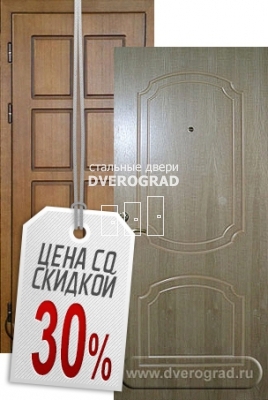 Входная дверь: модель ДС-5