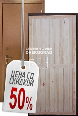 Входная дверь: модель ДС-6