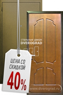 Входная дверь: модель ДС-1